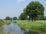 Exosche Aa